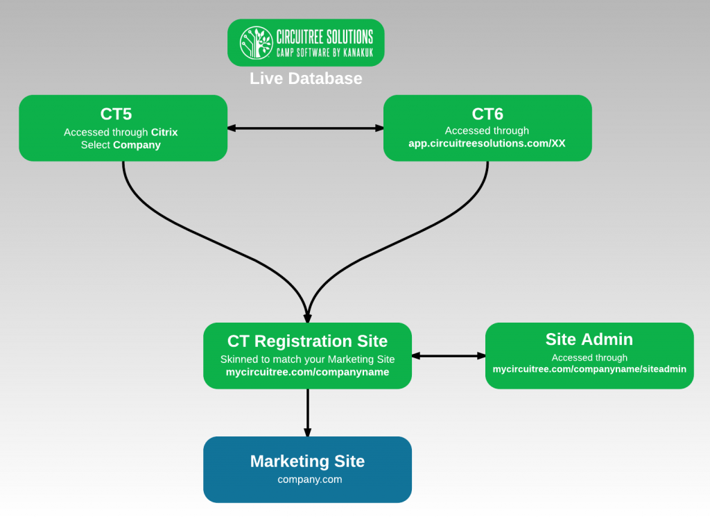 CT Product Diagram - Live Database